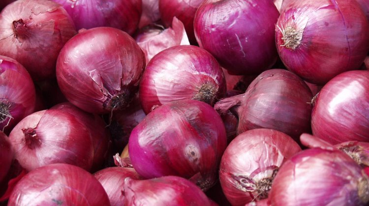 Benefícios da cebola roxa Benefícios da cebola roxa