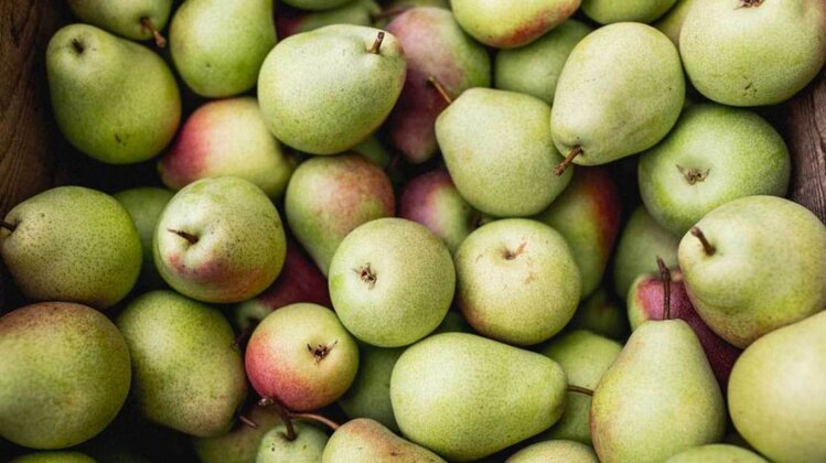 Peras e um dos alimentos para melhorar sua saúde intestinal Peras e um dos alimentos para melhorar sua saude intestinal