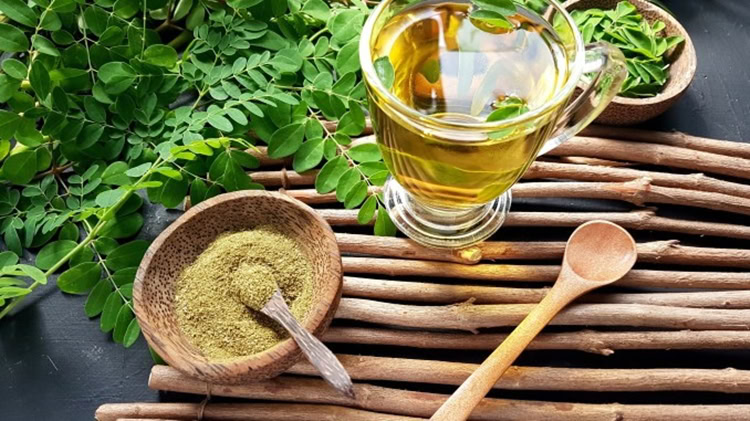 beneficios da moringa | Dicas de Saúde