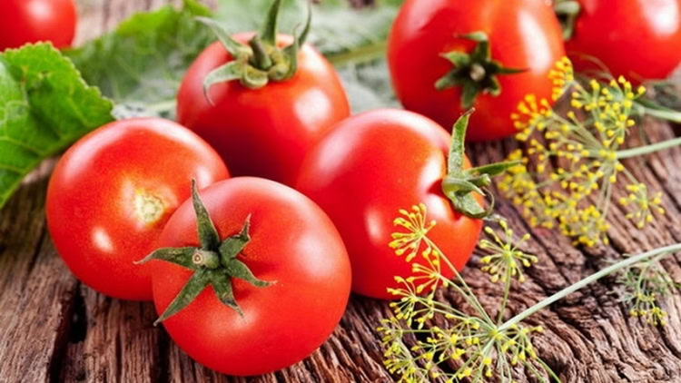 tomate ajuda emagrecer tomate ajuda emagrecer