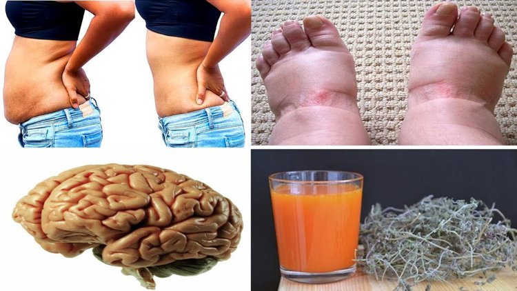 derrete gordura, desincha o corpo e melhora a memoria | Dicas de Saúde derrete gordura, desincha o corpo e melhora a memoria