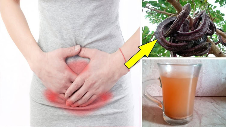 remedios-para-eliminar-a-gordura-abdominal | Dicas de Saúde remedios-para-eliminar-a-gordura-abdominal