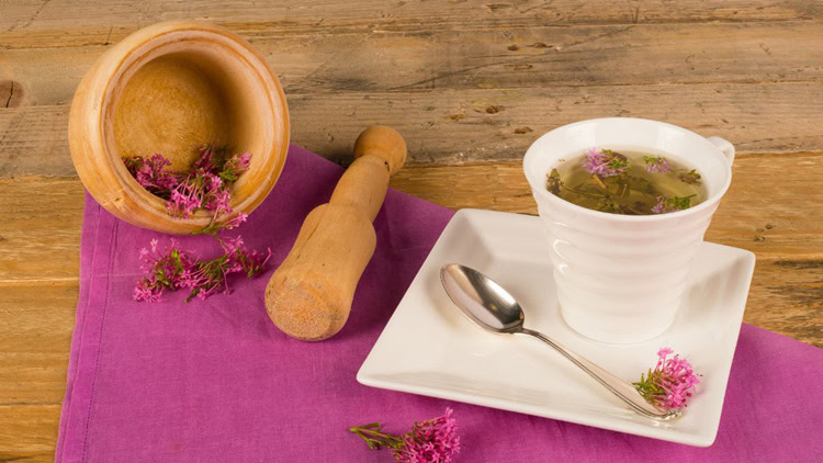 benefícios do cha de valeriana benefícios do cha de valeriana