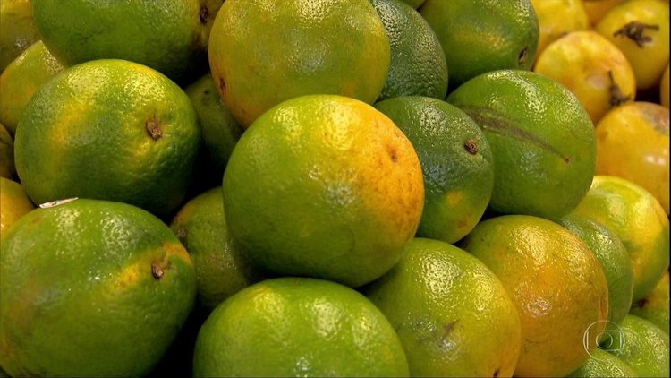 Frutas ricas em vitamina C: 1001 alimentos e como usar Frutas ricas em vitamina C: 1001 alimentos e como usar