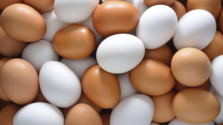 ovo e um alimento com baixa caloria para perder peso | Dicas de Saúde ovo e um alimento com baixa caloria para perder peso