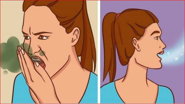 mau halito o que é | Dicas de Saúde Receita Natural Para Eliminar o Mau Hálito Para Sempre