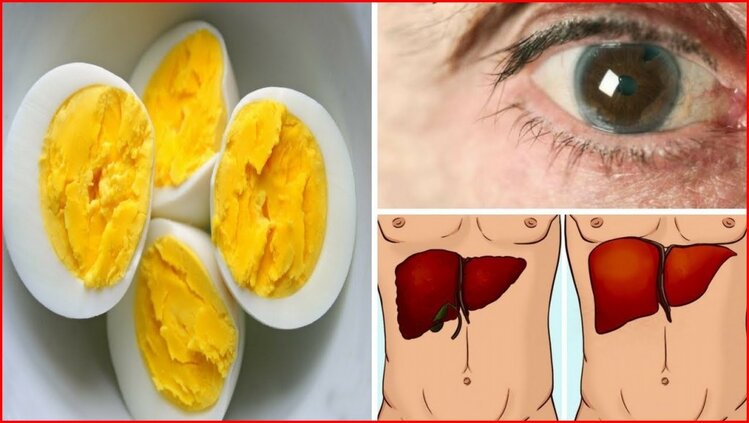 benefícios de comer ovos no cafe da manha | Dicas de Saúde benefícios de comer ovos no cafe da manha