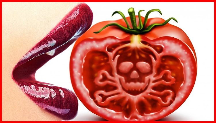alimentos venenosos que te matam pouco a pouco | Dicas de Saúde alimentos venenosos que te matam pouco a pouco