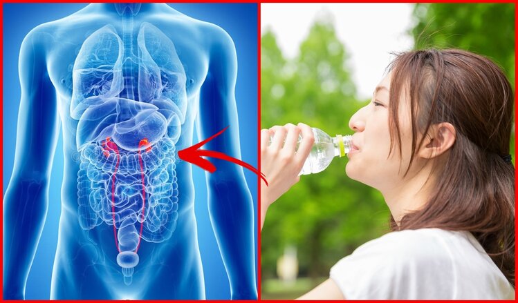 beneficios da terapia japonesa | Dicas de Saúde beneficios da terapia japonesa