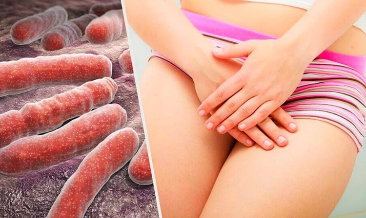 remedios para candidiase que funcionam | Dicas de Saúde remedios para candidiase que funcionam