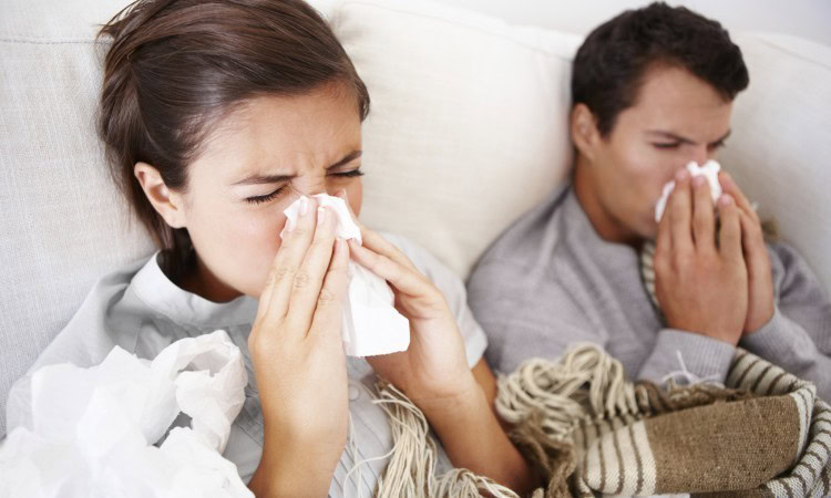 receitas caseiras para tratar a gripe | Dicas de Saúde receitas caseiras para tratar a gripe