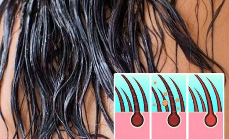 como-tratar-cabelo-seco-com-amido-de-milho | Dicas de Saúde