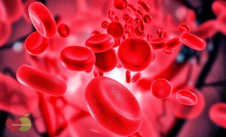 talassamia | Dicas de Saúde Talassemia
