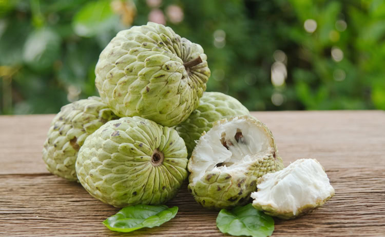 fruta do conde engorda | Dicas de Saúde