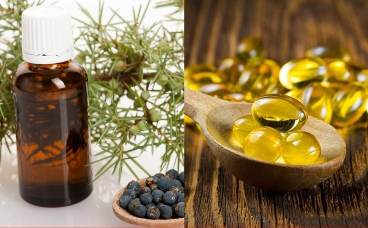 oleo de zimbro em capsulas | Dicas de Saúde oleo de zimbro em capsulas