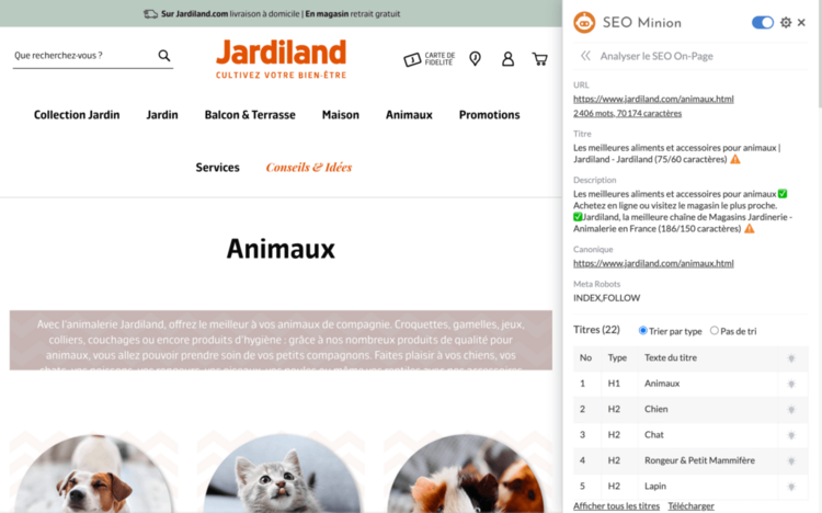 SEO Minion analyse seo on page