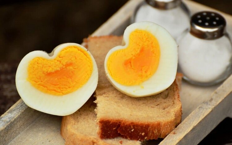 para que serve a dieta do ovo | Dicas de Saúde para que serve a dieta do ovo