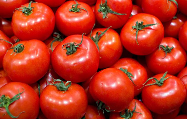 deita do tomate (1)~1 | Dicas de Saúde