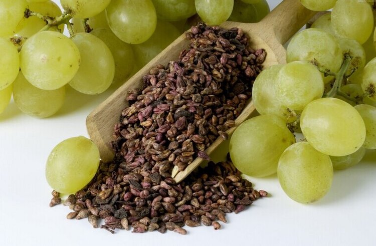 sementes de uva para uma alimentaçao saudavel sementes de uva para uma alimentaçao saudavel