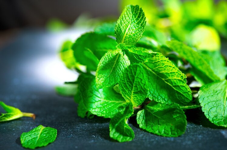 usar purificadores naturais | Dicas de Saúde usar purificadores naturais