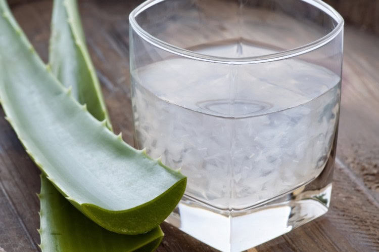 beba suco de aloe vera para refluxo | Dicas de Saúde beba suco de aloe vera para refluxo