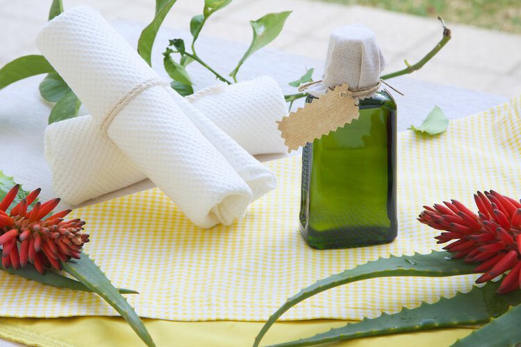 Óleo de Aloe Vera 1 | Dicas de Saúde