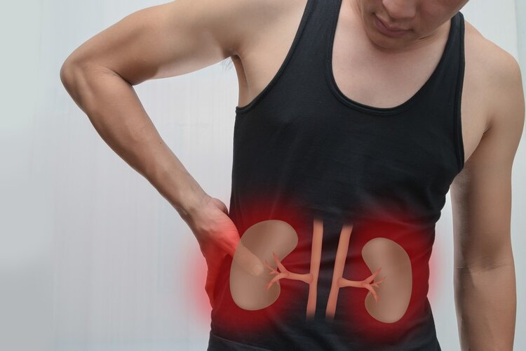 Os 11 Sinais de Problemas nos Rins que Não Devemos Ignorar 2 | Dicas de Saúde