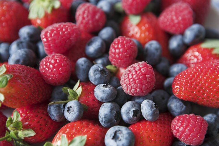 Os 7 Alimentos que Ajudam a Tratar o Câncer 1 | Dicas de Saúde