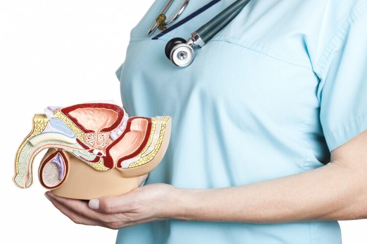 Torção Testicular - Causas, Sintomas e Tratamentos 1 | Dicas de Saúde