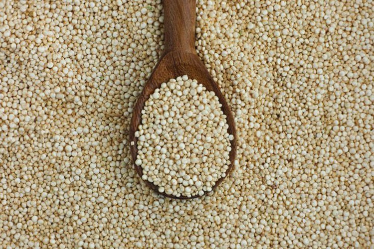 Quinoa Quinoa