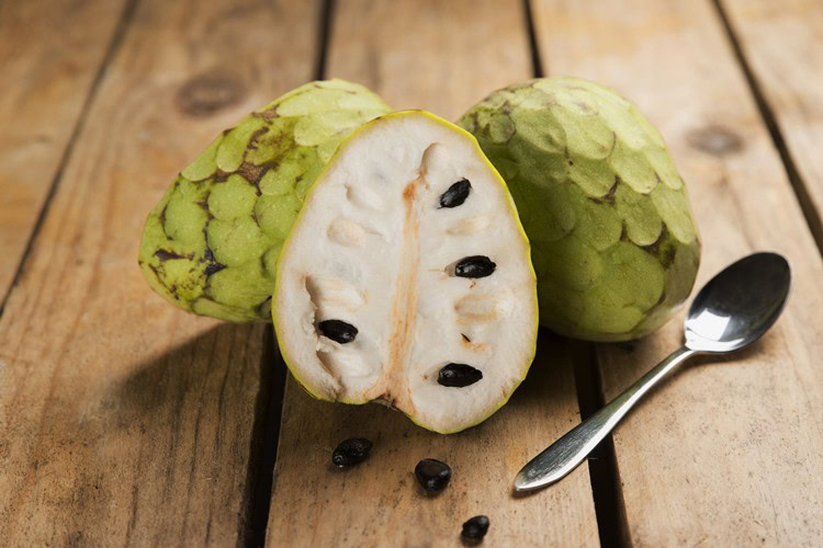 suco de cherimoia-2 | Dicas de Saúde