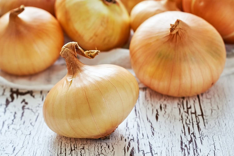 cebola emagrece ou engorda | Dicas de Saúde
