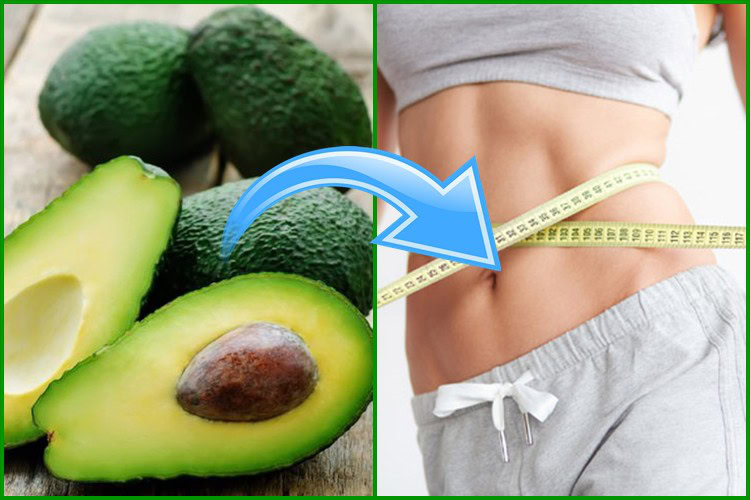 dieta-do-abacate | Dicas de Saúde