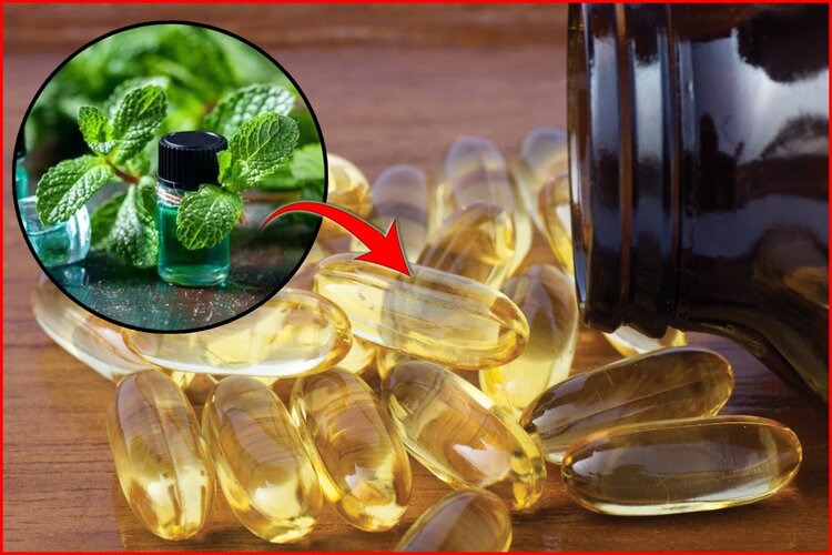 oleo de menta em capsulas oleo de menta em capsulas