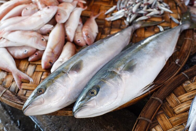 alimentos que causam intoxicação alimentar | Dicas de Saúde alimentos que causam intoxicação alimentar
