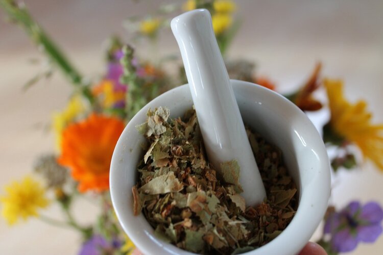 chás orgânicos para relaxar | Dicas de Saúde chás orgânicos para relaxar