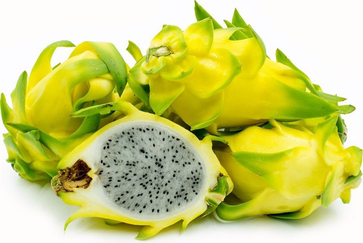pitaya é uma fruta estranha fruta pitaya é uma fruta estranha
