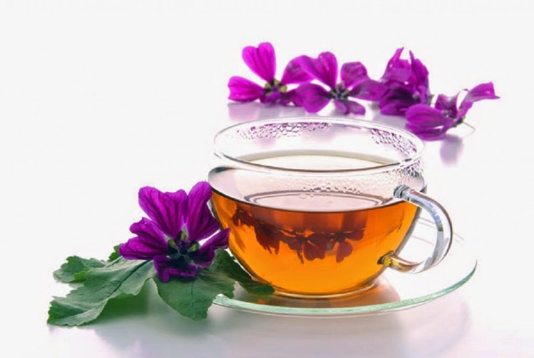 cha-de-malva-para-tratar-bronquite%e3%80%90receita-completa%e3%80%91