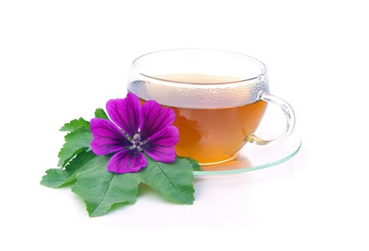 cha malva | Dicas de Saúde