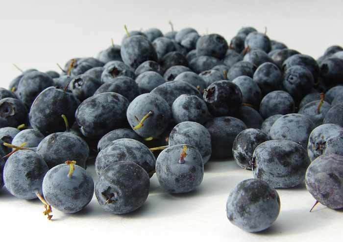 açaí dieta | Dicas de Saúde