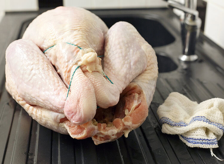 derreter frango no balcão | Dicas de Saúde