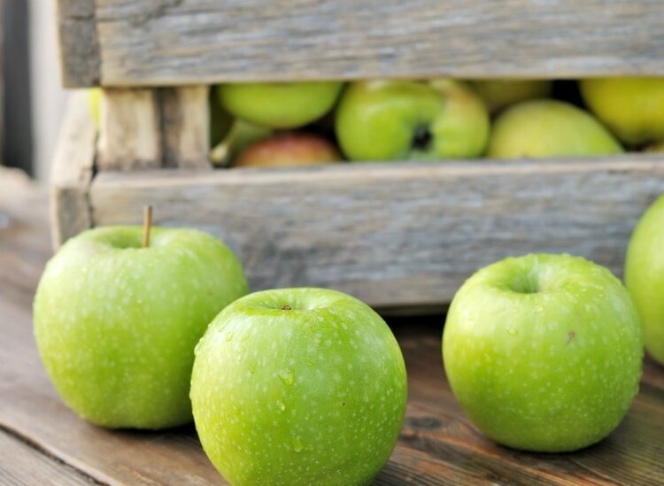 frutas para perder peso em casa | Dicas de Saúde