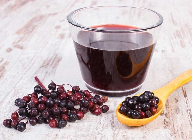 suco de sabugueiro aumenta imunidade | Dicas de Saúde