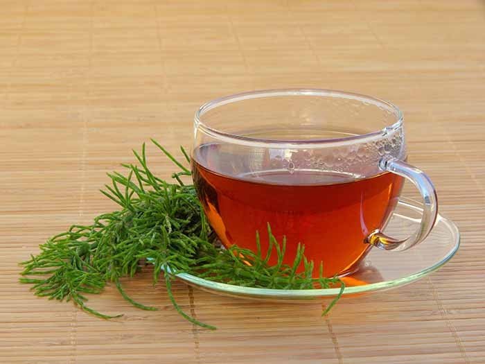 Cha de Cavalinha e Hibisco | Dicas de Saúde Cha de Cavalinha e Hibisco