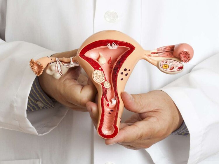 o que é o corpo lúteo? o que é o corpo lúteo?