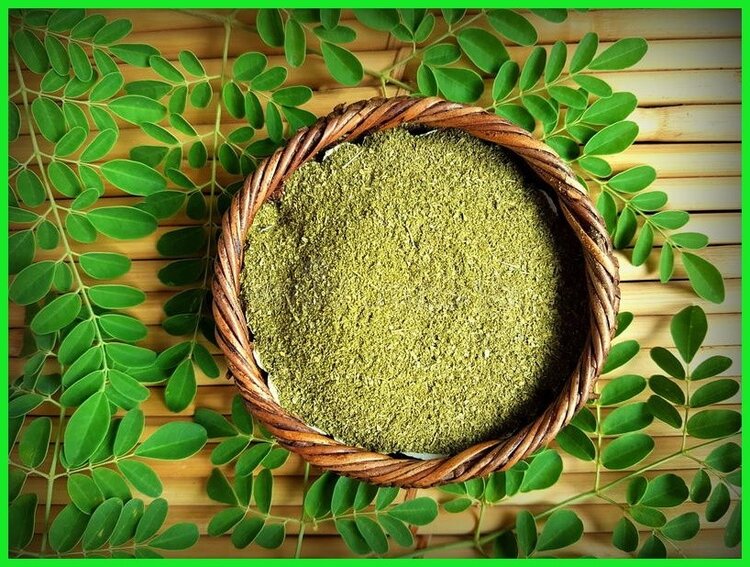 Moringa po | Dicas de Saúde
