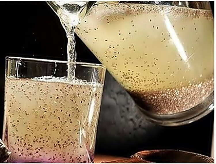 receita de aveia e chia para secar a barriga | Dicas de Saúde receita de aveia e chia para secar a barriga
