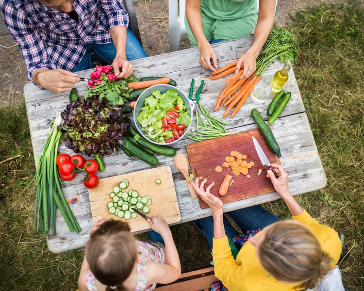 emagrecer com a Dieta Vegetariana | Dicas de Saúde