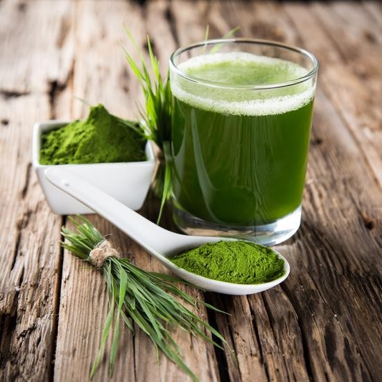benefícios das algas verde-azuladas | Dicas de Saúde benefícios das algas verde-azuladas