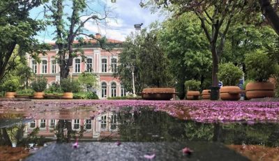 Ytu Iys Sinavi Zor Muydu Haziran Iys Sinav Sorulari Istanbul Dil Akademisi